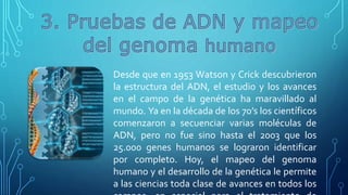 Desde que en 1953 Watson y Crick descubrieron
la estructura del ADN, el estudio y los avances
en el campo de la genética ha maravillado al
mundo. Ya en la década de los 70’s los científicos
comenzaron a secuenciar varias moléculas de
ADN, pero no fue sino hasta el 2003 que los
25.000 genes humanos se lograron identificar
por completo. Hoy, el mapeo del genoma
humano y el desarrollo de la genética le permite
a las ciencias toda clase de avances en todos los
 