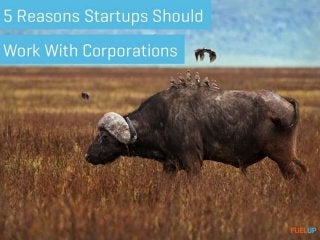 5 Reasons Startups Should Work With Corporations