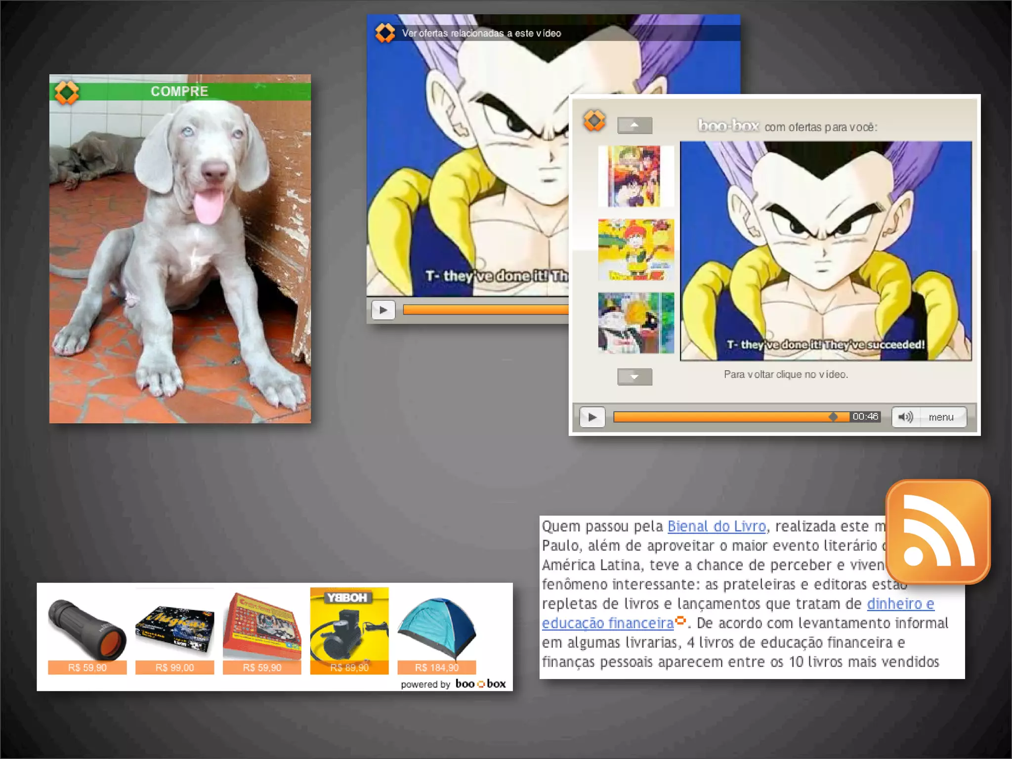 boo-box, lançamentos no BlogCamp SP 2008