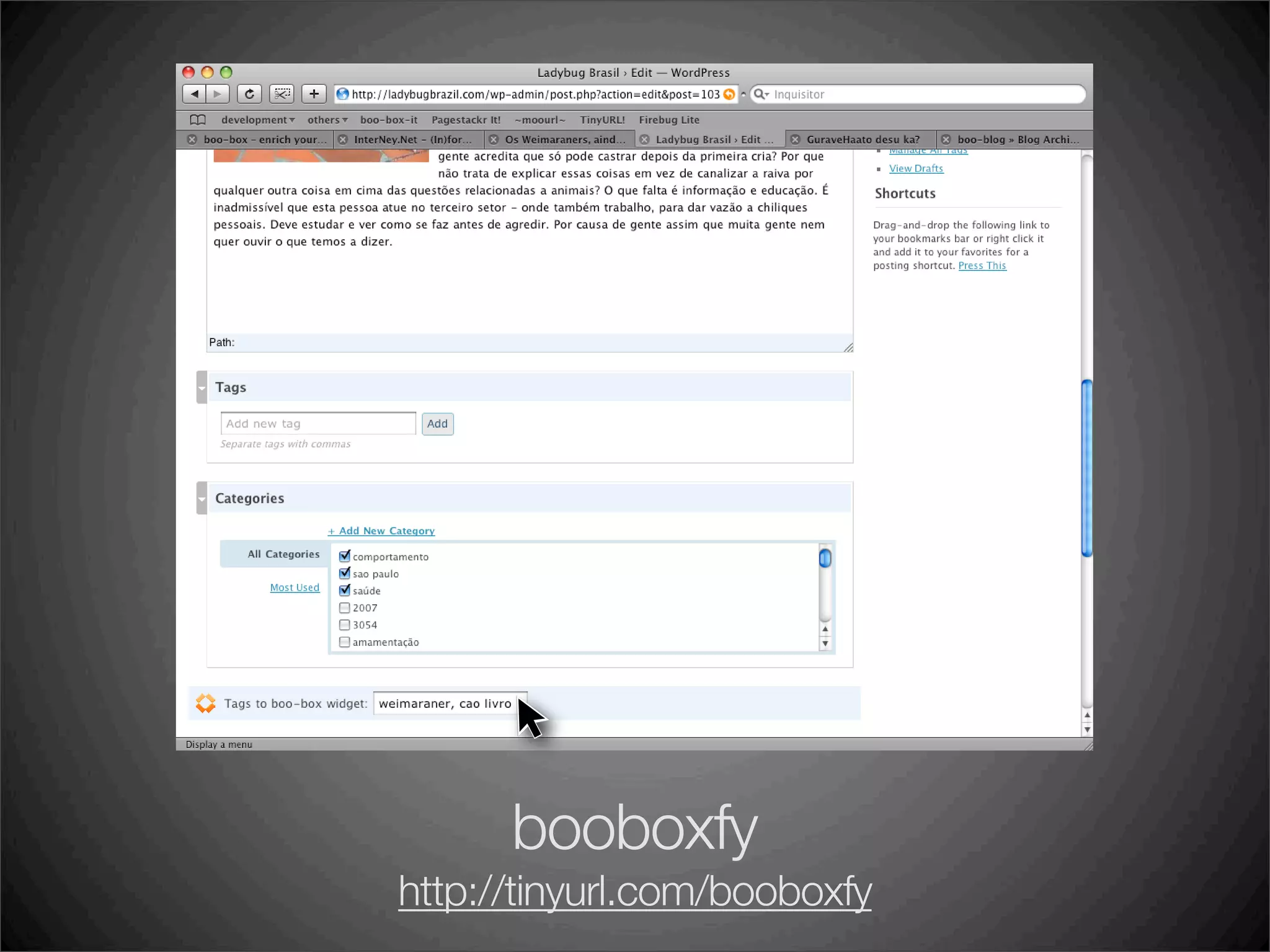 boo-box, lançamentos no BlogCamp SP 2008