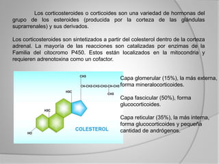 Los corticosteroides o corticoides son una variedad de hormonas del
grupo de los esteroides (producida por la corteza de las glándulas
suprarrenales) y sus derivados.
Los corticosteroides son sintetizados a partir del colesterol dentro de la corteza
adrenal. La mayoría de las reacciones son catalizadas por enzimas de la
Familia del citocromo P450. Estos están localizados en la mitocondria y
requieren adrenotoxina como un cofactor.
Capa glomerular (15%), la más externa,
forma mineralocorticoides.
Capa fascicular (50%), forma
glucocorticoides.
Capa reticular (35%), la más interna,
forma glucocorticoides y pequeña
cantidad de andrógenos.
 