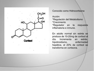 Conocido como Hidrocortisona
Acción:
*Regulación del Metabolismo
*Crecimiento
*Regulador en la respuesta
inflamatoria e inmune.
En adulto normal sin estrés se
produce de 10-20mg de cortisol al
día. Incrementa en estrés,
hipotiroidismo, enfermedad
hepática, el 20% de cortisol se
transforma en cortisona.
 