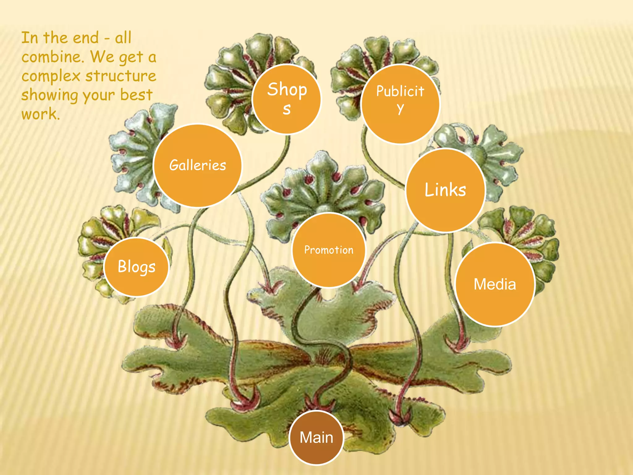 ShopsPublicityLinksMediaPromotionBlogsGalleriesIn the end - all combine. We get a complex structure showing your best work.