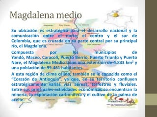 Magdalena medio
Su ubicación es estratégica para el desarrollo nacional y la
comunicación entre el norte, el centro y el sur de
Colombia, que es cruzada en su parte central por su principal
río, el Magdalena.
Compuesta          por         los        municipios         de
Yondó, Maceo, Caracolí, Puerto Berrio, Puerto Triunfo y Puerto
Nare, el Magdalena Medio tiene una extensión de 4.833 km2 y
una población de 99.461 habitantes.
A esta región de clima cálido, también se le conocida como el
“Corazón de Antioquia”, ya que, en su territorio confluyen
estratégicamente varias vías aéreas, terrestres y fluviales.
Entre sus principales actividades económicas se encuentran la
minería, la explotación carbonífera y el cultivo de la palma de
aceite.
 