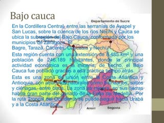 Bajo cauca
En la Cordillera Central, entre las serranías de Ayapel y
San Lucas, sobre la cuenca de los ríos Nechí y Cauca se
ubica la subregión del Bajo Cauca, conformada por los
municipios de Zaragoza, El
Bagre, Tarazá, Cáceres, Caucasia y Nechí.
Esta región cuenta con una extensión de 8.485 km2 y una
población de 246.189 habitantes, donde la principal
actividad económica es la minería, de hecho, el Bajo
Cauca fue poblado gracias a esa práctica tiempo atrás.
Esta es una zona de unión entre la Costa Atlántica y
Antioquia, con atractivos naturales como balnearios, saltos
y ciénagas, entre otros. La zona es minera, en sus tierras
habita gran parte del ganado de la Feria de Medellín. Por
la ruta Troncal del Occidente se puede seguir hacia Urabá
y a la Costa Atlántica.
 
