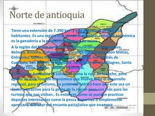 Norte de antioquia
Tiene una extensión de 7.390 km2 y una población de 233.852
habitantes. Es una región fría, donde la principal actividad económica
es la ganadería y la producción láctea y de carne.
A la región del Norte pertenecen los municipios de Angostura,
Belmira, Briceño, Campamento, Carolina del príncipe, Don Matías,
Entrerríos, Gómez Plata, Guadalupe, Ituango, San Andrés de
Cuerquía, San José de la Montaña, San Pedro de los Milagros, Santa
Rosa de Osos, Toledo, Valdivia y Yarumal.
 El norte de Antioquia es conocido como la ruta de la Leche, pero
aparte de este renglón económico que mueve todo el desarrollo
regional, para el turismo, su potencial hídrico hace que este sea un
destino atractivo para la gente de la región pero aún más para los
turistas que nos visitan.. Es entonces como se pueden practicar
deportes interesantes como la pesca deportiva o simplemente
apreciar y disfrutar del encanto paisajístico que enamora
 
