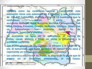 Uraba antioqueño

Ubicada entre las cordilleras central y occidental, esta
subregión tiene una extensión de 6.294 km2 y una población
de 195.825 habitantes, dividida entre los 19 municipios que la
conforman.               Hacen               parte             del
occidente Abriaquí, Anzá, Armenia, Buriticá, Cañasgordas, Dab
eiba, Ebéjico, Frontino, Giraldo, Heliconia, Liborina, Olaya, Peq
ue,     Sabanalarga,     San    Jerónimo,       Santa    Fe    de
Antioquia, Sopetrán y Uramita.
Su economía se basa en la caficultura, el cultivo de
frutas, cacao, plátano y fríjol; así como la ganadería y la
actividad comercial.
 Las frutas propias de las regiones se ofrecen a lo largo de la
vía. El tamarindo, una fruta agridulce, es común en la zona y
representa un manjar para casi todos los visitantes.
Los colores y sabores de las frutas, la alegría de la gente que lo
espera en el Occidente antioqueño, el río Cauca.
 