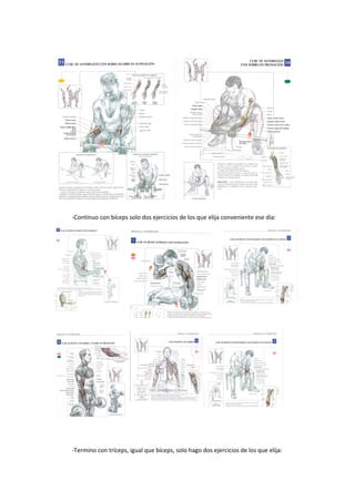 -Continuo con bíceps solo dos ejercicios de los que elija conveniente ese día:




-Termino con tríceps, igual que bíceps, solo hago dos ejercicios de los que elija:
 