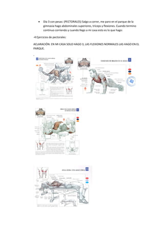 •   Día 3 con pesas: (PECTORALES) Salgo a correr, me paro en el parque de la
        gimnasia hago abdominales superiores, tríceps y flexiones. Cuando termino
        continuo corriendo y cuando llego a mi casa esto es lo que hago:

-4 Ejercicios de pectorales:

ACLARACIÓN: EN MI CASA SOLO HAGO 3, LAS FLEXIONES NORMALES LAS HAGO EN EL
PARQUE.

-
 