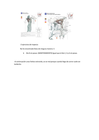 -2 ejercicios de trapecio:

        No he encontrado fotos de ninguna manera: S

            •   Día 8 sin pesas: (MANTENIMIENTO) Igual que el día 2, 4 y 6 sin pesas.



-A continuación unas fotitos estirando, se ve mal porque cuando llego de correr suele ser
tardecito:
 