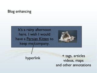 Blog enhancing It's a rainy afternoon here. I wish I would have a  Persian Kitten  to keep me company. hyperlink + tags, articles videos, maps and other annotations 