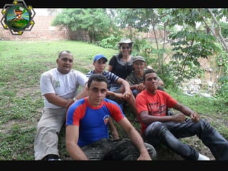 Clube Felinos da selva