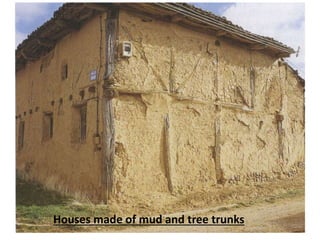 Houses made of mud and tree trunks
 