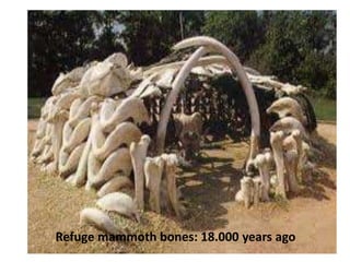 Refuge mammoth bones: 18.000 years ago
 