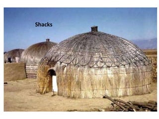 Shacks
 