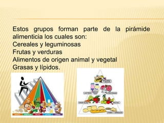 Estos grupos forman parte de la pirámide
alimenticia los cuales son:
Cereales y leguminosas
Frutas y verduras
Alimentos de origen animal y vegetal
Grasas y lípidos.
 