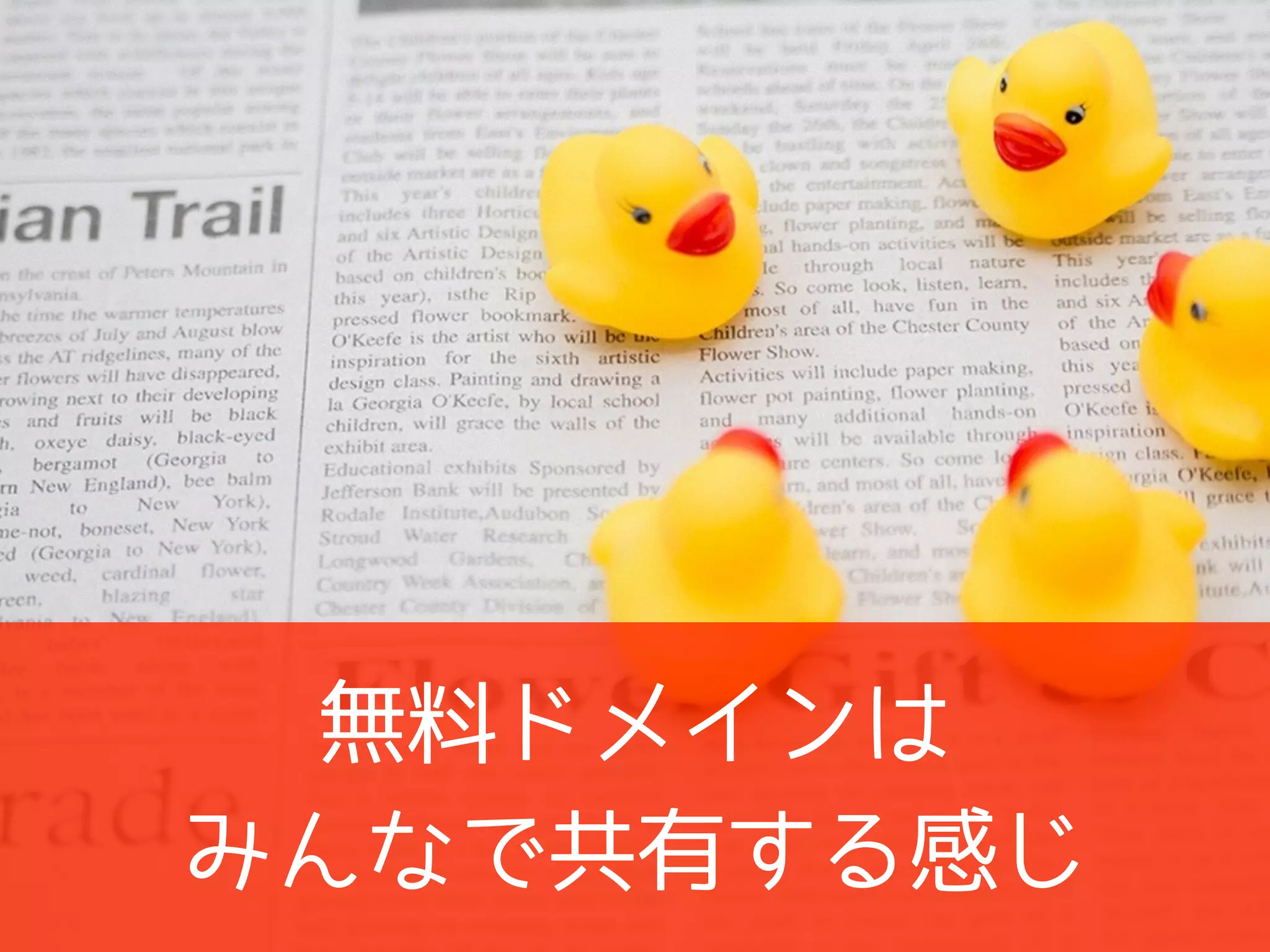 無料ドメインは
みんなで共有する感じ
 