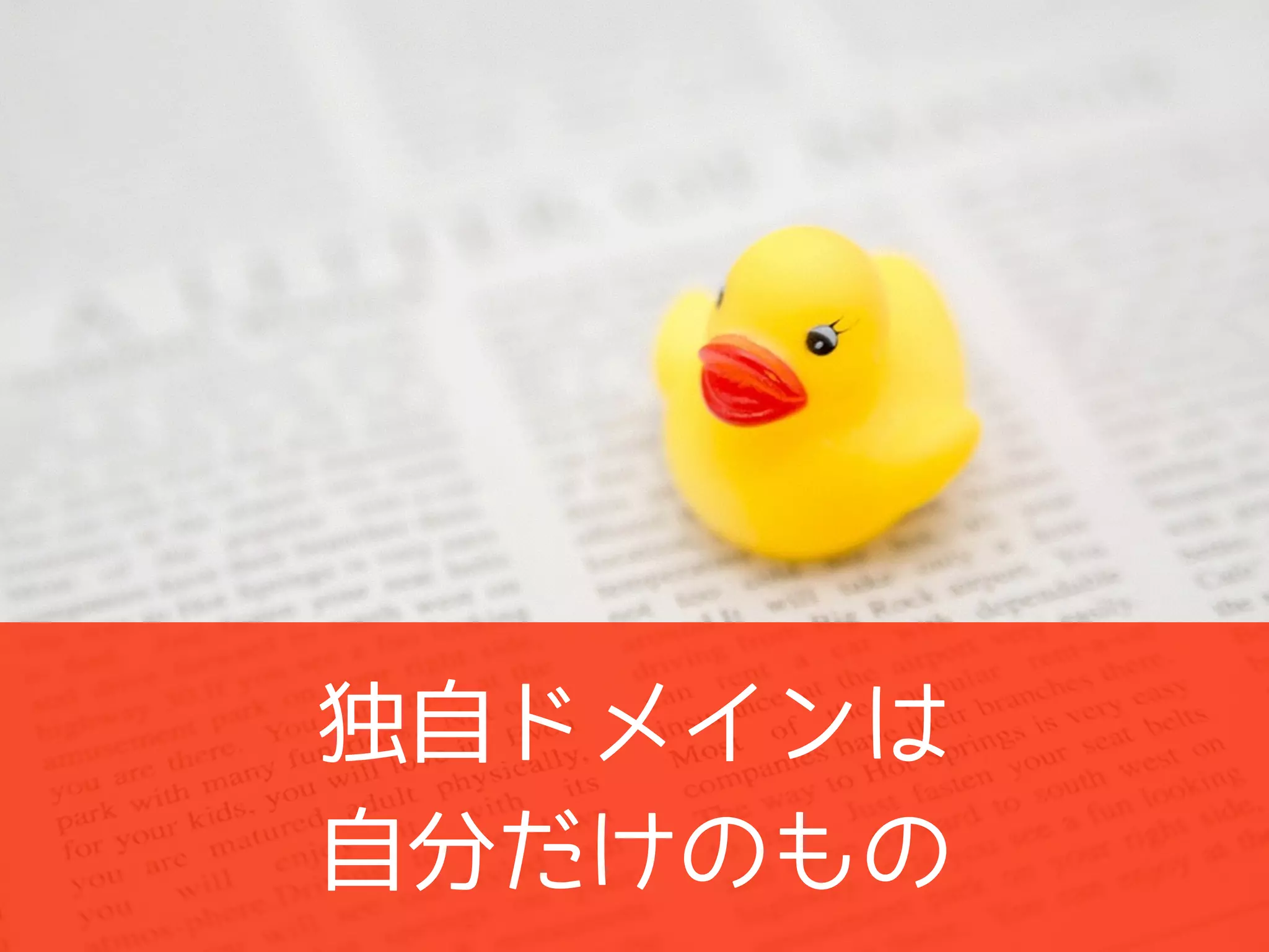 独自ドメインは
自分だけのもの
 