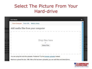 Select The Picture From Your
         Hard-drive
 
