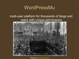 WordPressMu ,[object Object],Photo by  pingnews.com 