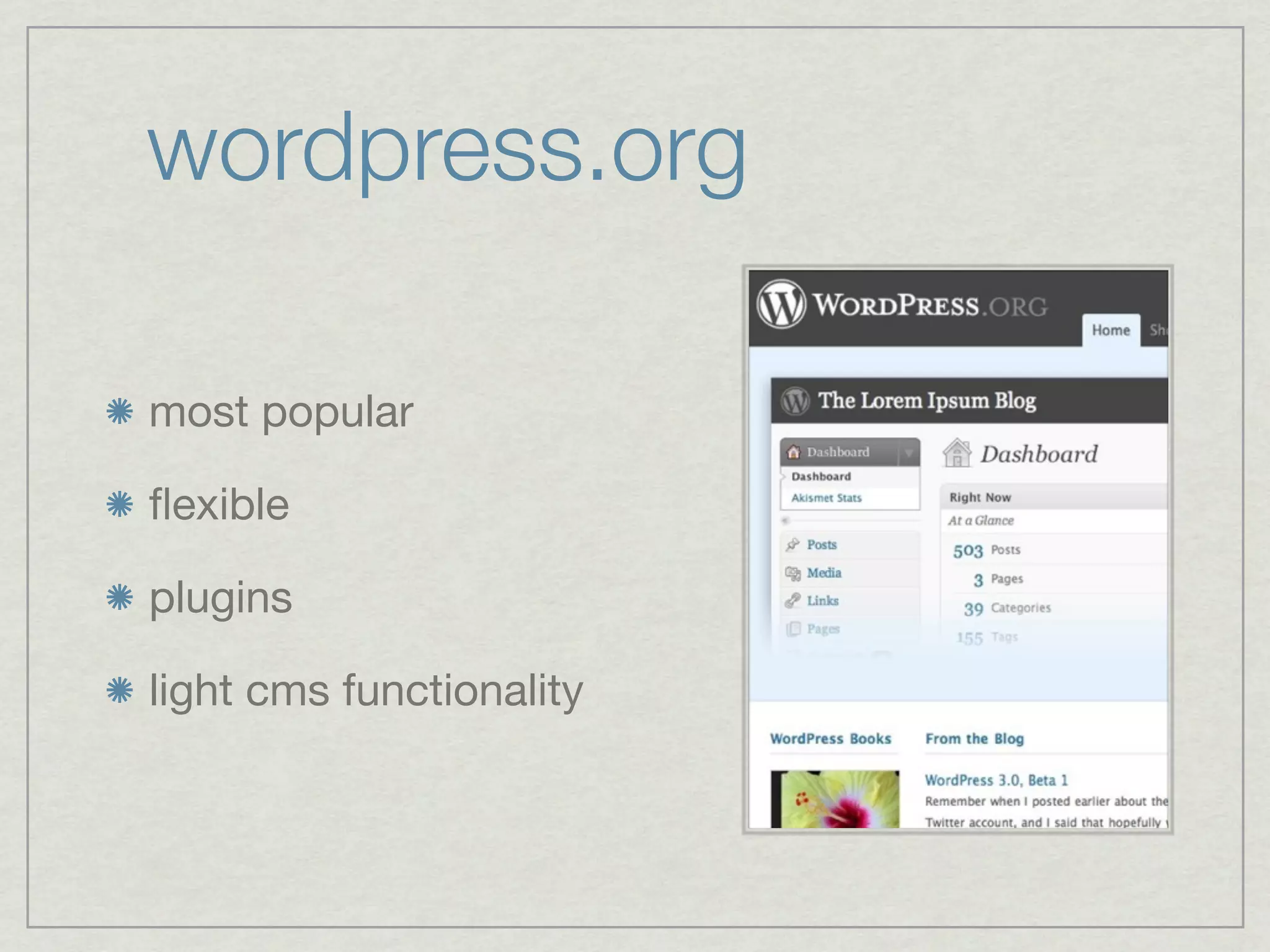 wordpress.org

most popular

ﬂexible

plugins

light cms functionality
 
