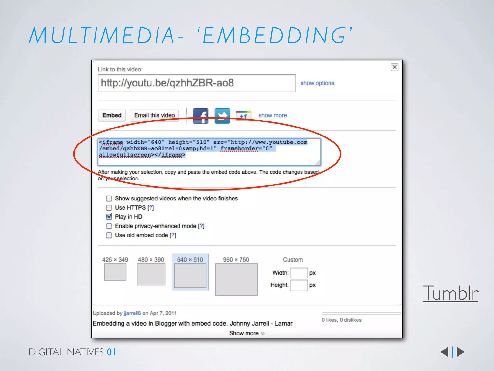 M U LT I M E D I A - ‘ E M B E D D I N G ’




                                             Tumblr

DIGITAL NATIVES 01
 