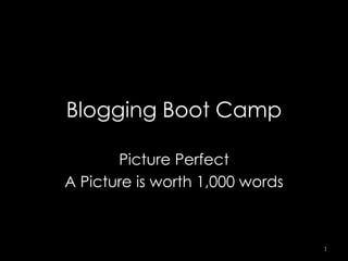 Blogging Boot Camp

       Picture Perfect
A Picture is worth 1,000 words



                                 1
 