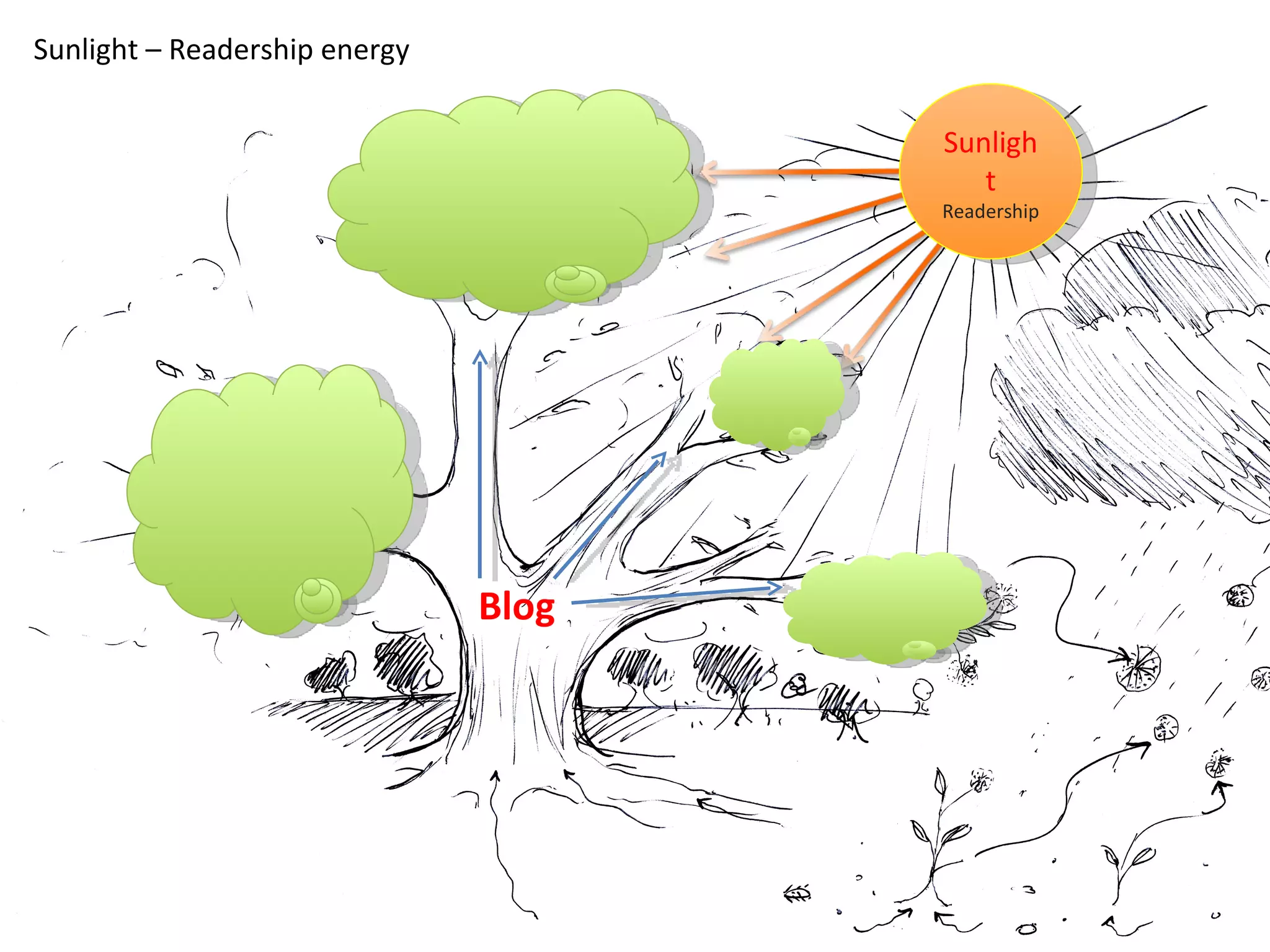 Blog Sunlight Sunlight Readership Sunlight – Readership energy 