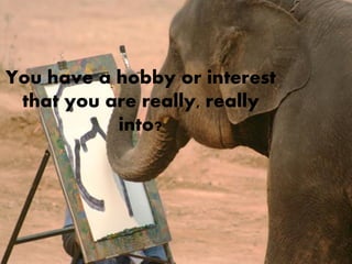You have a hobby or interest
 that you are really, really
           into?
 