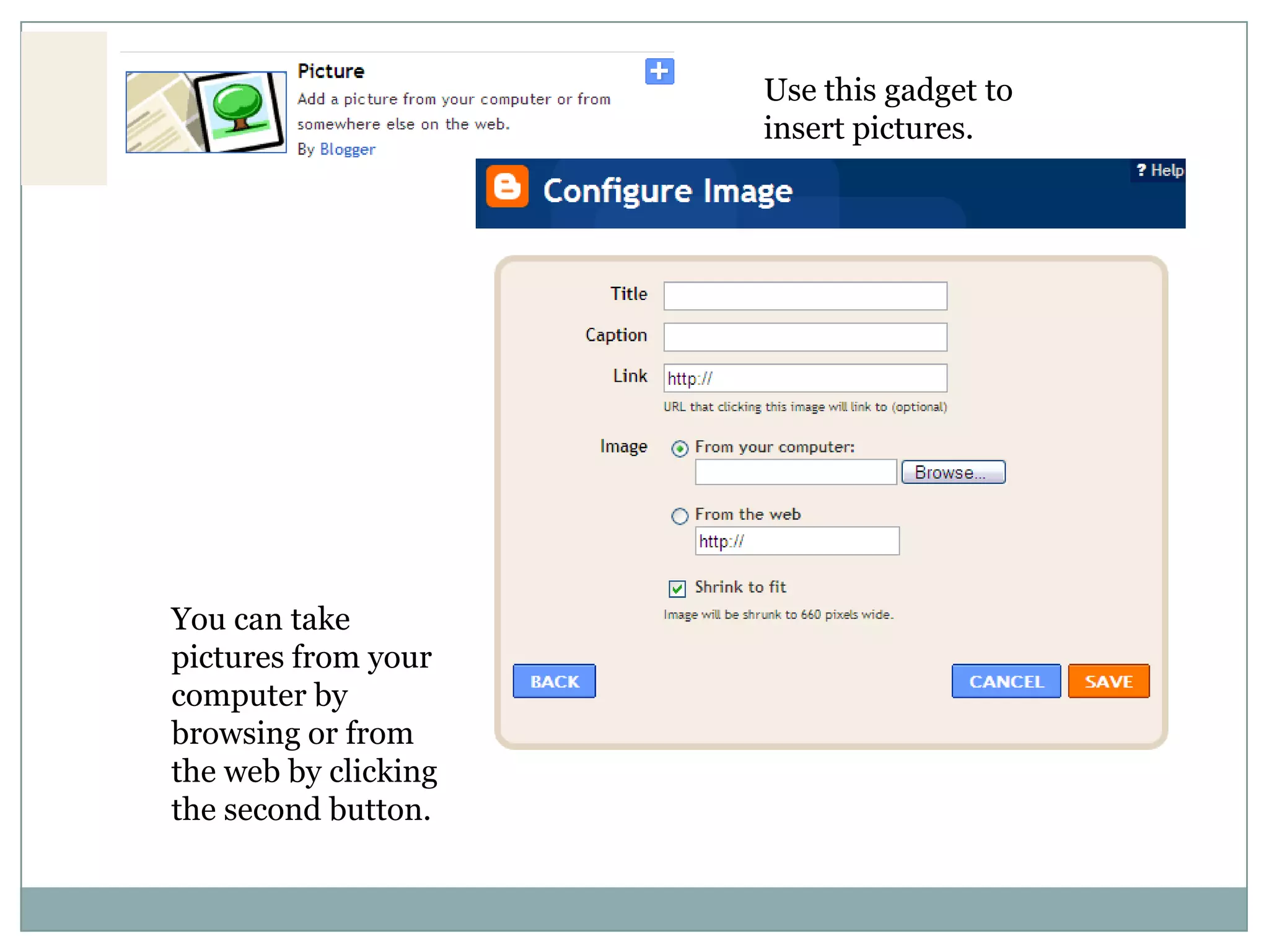 Use this gadget to insert pictures.You can take pictures from your computer by browsing or from the web by clicking the second button.