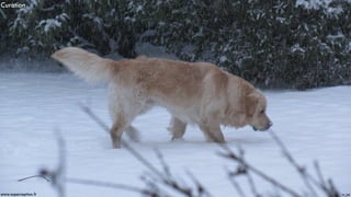 Curation
Pic - DRwww.superception.fr
 