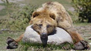 Pic - JudiLenwww.superception.fr
 