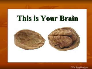 This is Your Brain ©Forfeng Designs 