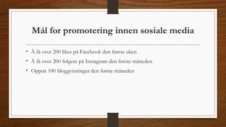 Mål for promotering innen sosiale media 
• Å få over 200 likes på Facebook den første uken 
• Å få over 200 følgere på Instagram den første måneden 
• Oppnå 100 bloggvisninger den første måneden 
 