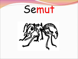 Se mut 