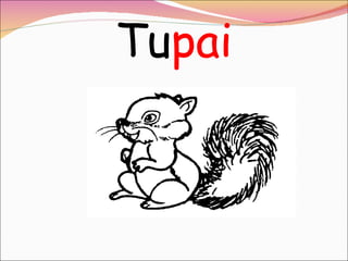 Tu pai 