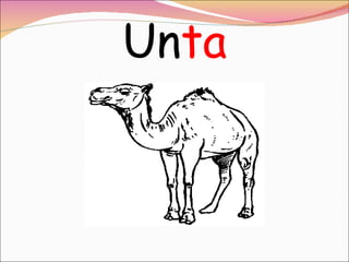 Un ta 