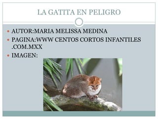 LA GATITA EN PELIGROAUTOR:MARIA MELISSA MEDINAPAGINA:WWW CENTOS CORTOS INFANTILES .COM.MXXIMAGEN: