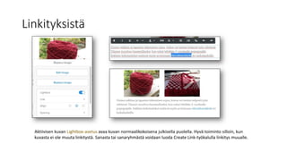 Linkityksistä
Aktiivisen kuvan Lightbox-asetus avaa kuvan normaalikokoisena julkisella puolella. Hyvä toiminto silloin, kun
kuvasta ei ole muuta linkitystä. Sanasta tai sanaryhmästä voidaan luoda Create Link-työkalulla linkitys muualle.
 