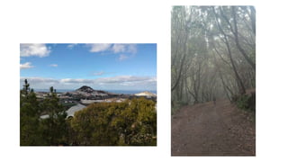 Fresh air far from home