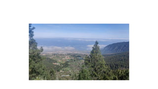 Fresh air far from home