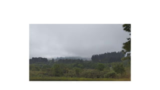 Fresh air far from home