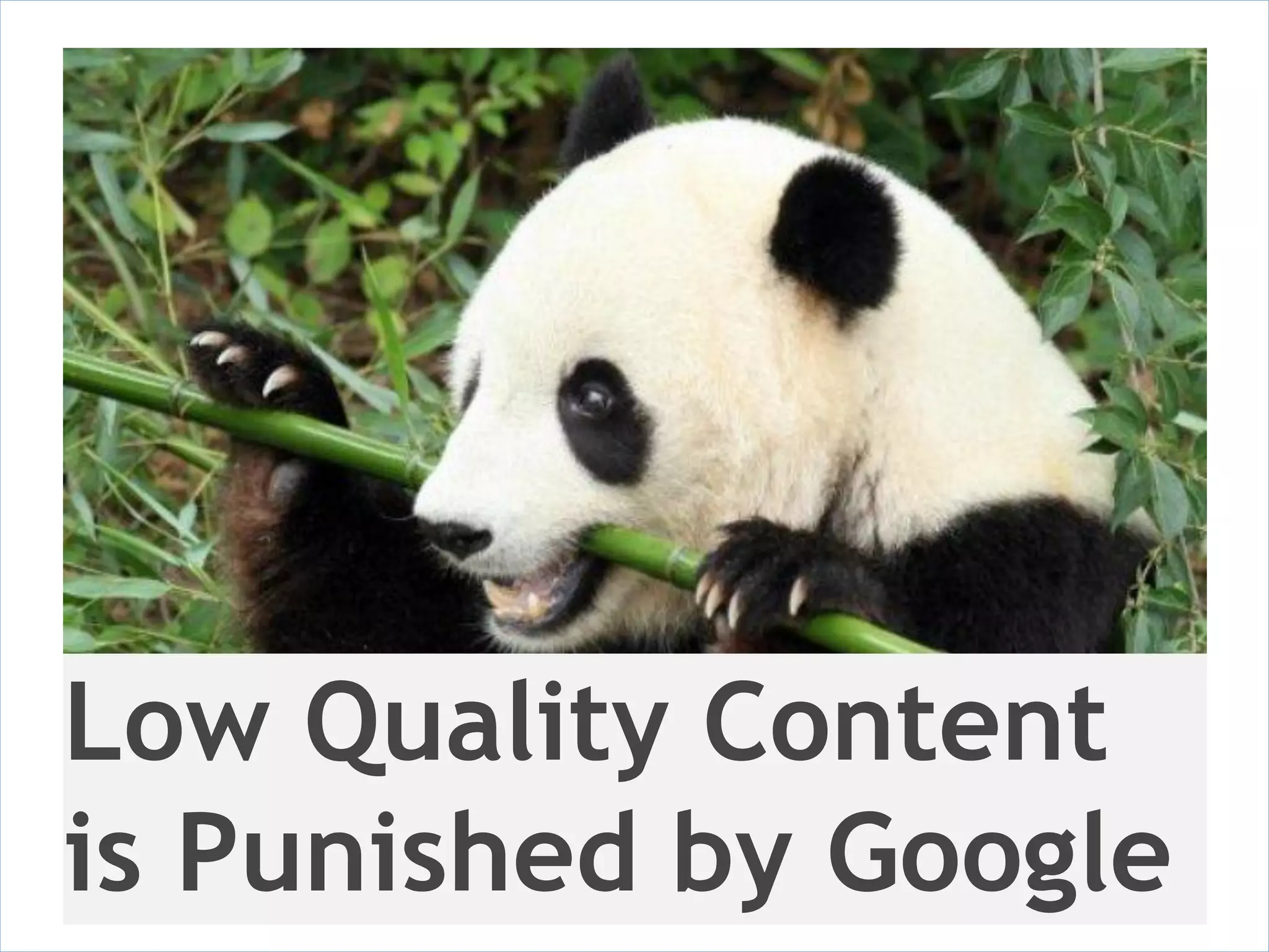 Low Quality Content
is Punished by Google
 