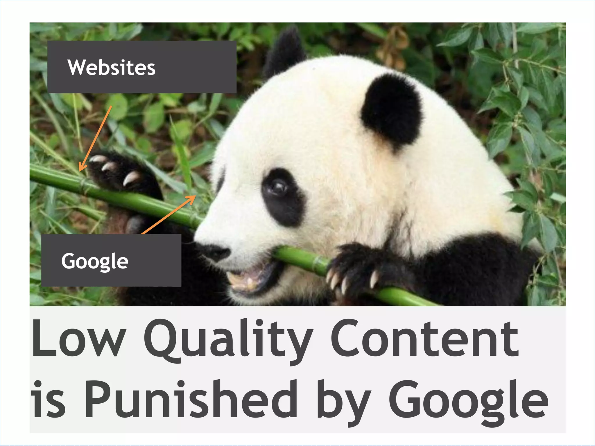 Websites




 Google



Low Quality Content
is Punished by Google
 