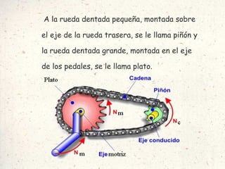A la rueda dentada pequeña, montada sobre el eje de la rueda trasera, se le llama piñón y la rueda dentada grande, montada en el eje de los pedales, se le llama plato. 