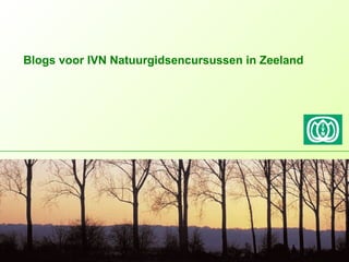 Blogs voor IVN Natuurgidsencursussen in Zeeland
 