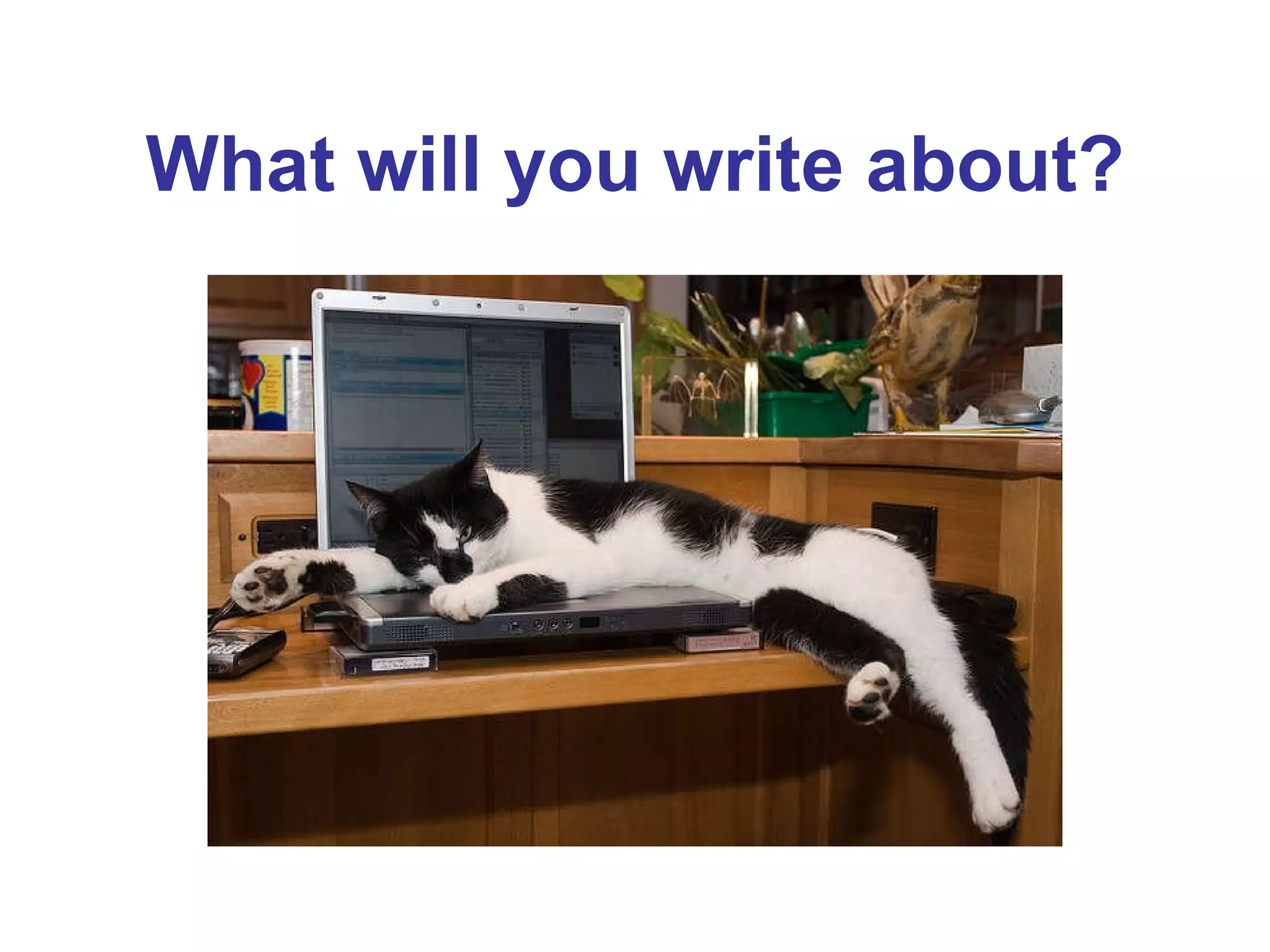 What will you write about? 