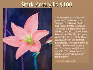 Stark Amaryllis $100 The Amaryllis x starkii (Stark Amaryllis) can be found at the Shangri La Botanical Garden and Nature Center in Orange, Tx. which is a program of the Nelda C. and H.J. Lutcher Stark Foundation. The 11x14 original watercolor has a realistic flower contrasted with the abstract background. The wood frame is 14x17. The archival paper is acid free, heavy weight and durable. The nature scene is ready for your wall on a saw-tooth hanger. Purchase Request 