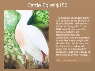Cattle Egret $150 The bubulcus ibis (Cattle Egret) can be found at the Shangri La Botanical Garden and Nature Center in Orange, Tx. In this 8x10 original watercolor the background has a salt treatment giving a star appearance. The archival paper is acid free, heavy weight and durable. The 11x14 cream mat is trimmed in a dark wood grain. The faux bamboo from measures 13x16 and is ready to hang with a sawtooth hanger.  Purchase Request 