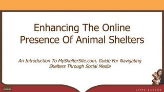 Enhancing The Online Presence Of Animal Shelters ,[object Object]